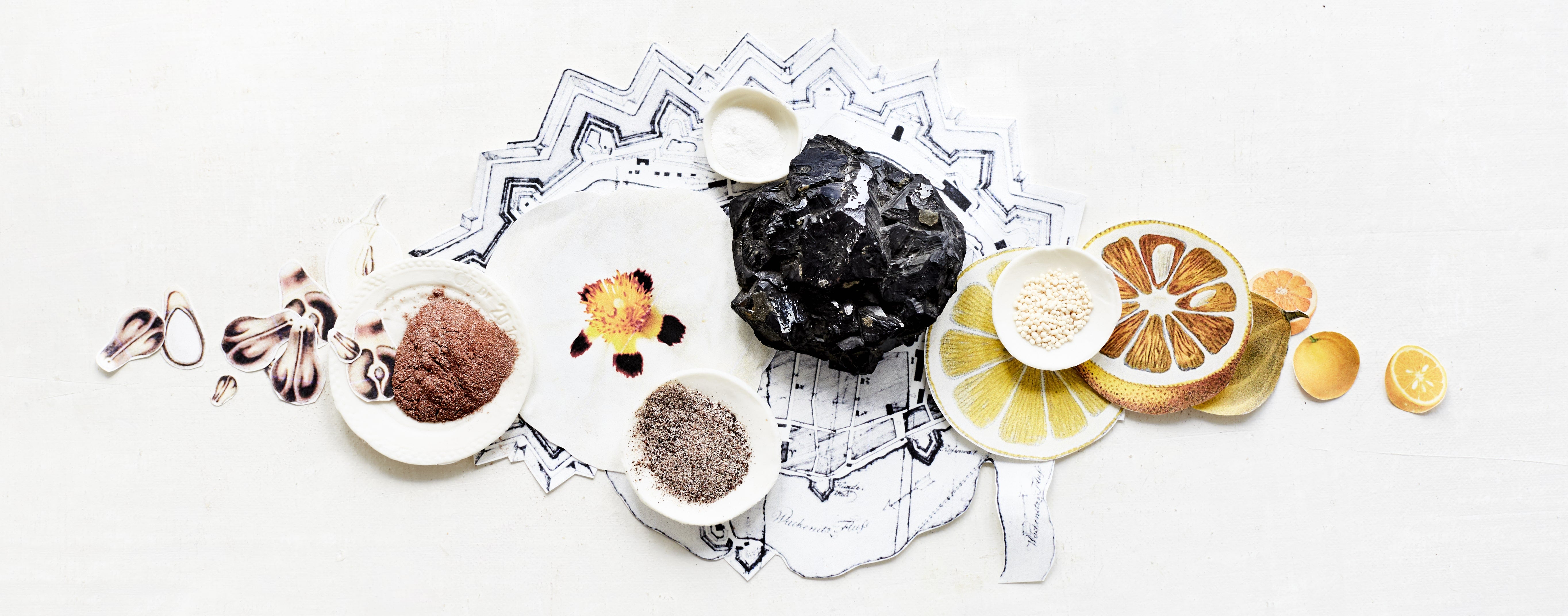 Zutaten wie Blüten, Pulver, Mineralien, Samen und Zitrusfrüchte auf Zeichnungen arrangiert – Symbol für den Schutz der Abwehrkräfte.