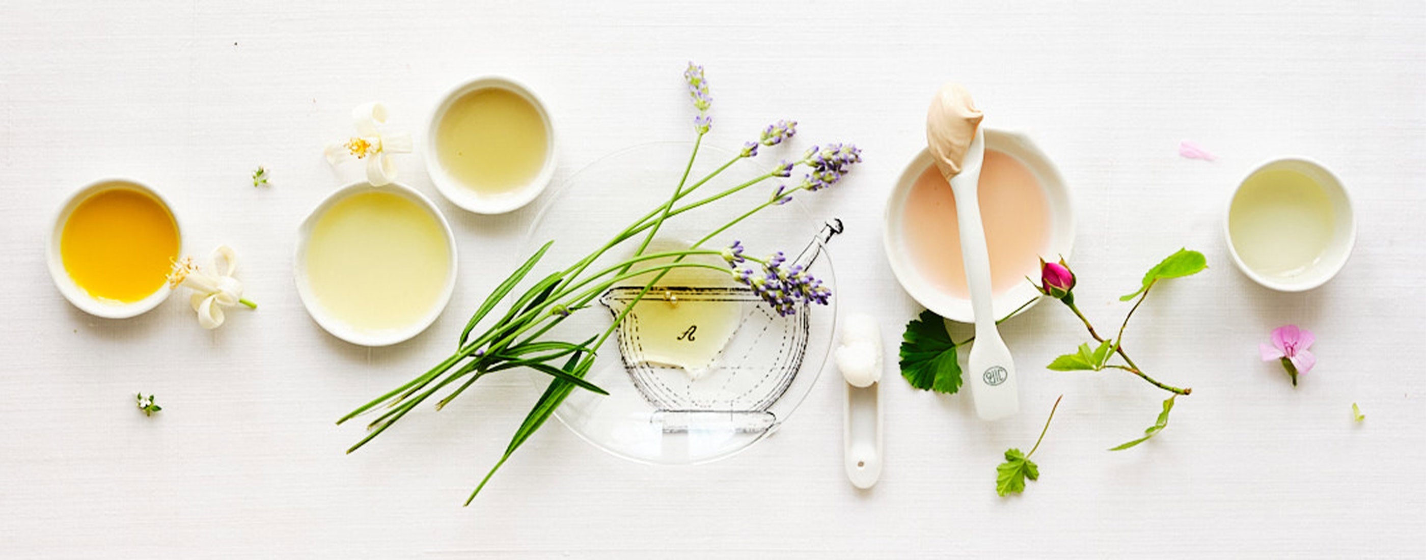 Pflanzliche Rezepturen