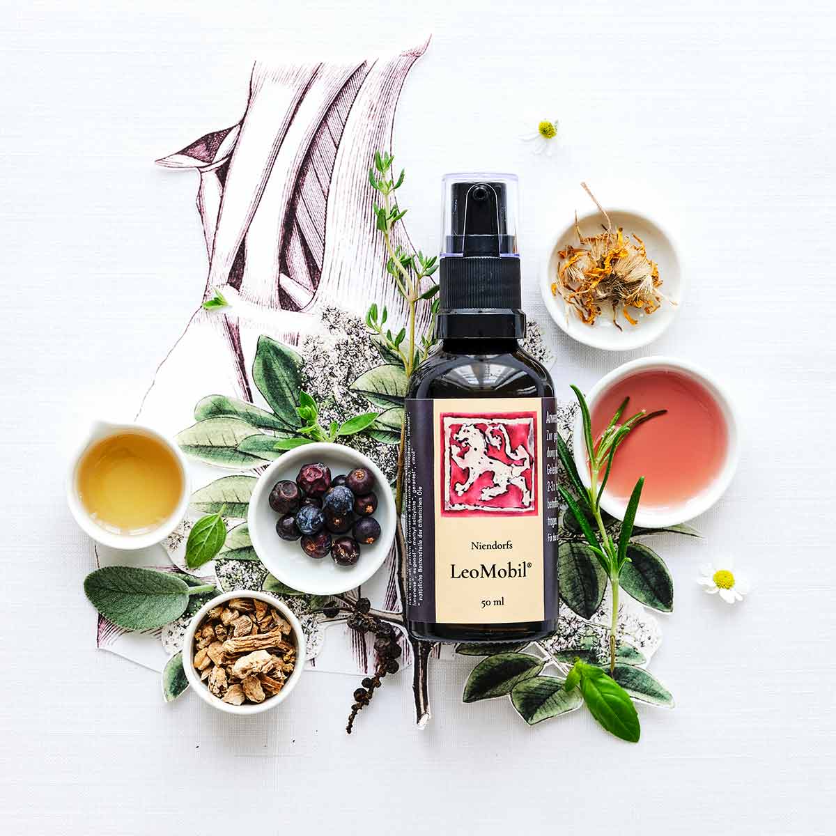 Niendorfs LeoMobil® – 50ml ätherische Öl-Mischung mit Dosierpumpe zur Linderung von Gelenk- und Muskelschmerzen, im Braunglasfläschchen