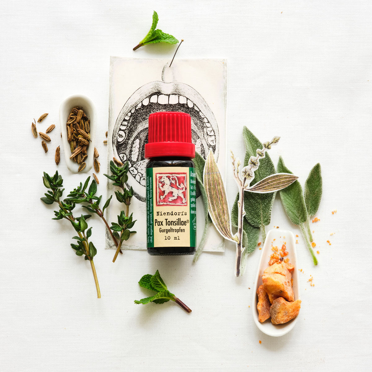Niendorfs Pax Tonsillae® – 10 ml ätherisches Gurgeltropfen mit Thymian, Teebaum, Pfefferminze, Salbei, Cajeput, Fenchel süß und Benzoe Siam zur natürlichen Linderung von Halsbeschwerden, im Braunglasfläschchen mit Tropfaufsatz