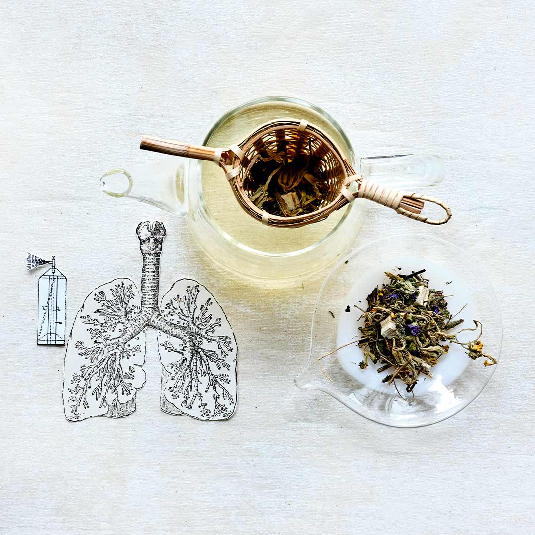 Vorteils-Set Husten von Löwen-Manufactur – bestehend aus Niendorfs Bronchienfreund (30 ml), Niendorfs Erkältungsduft (50 ml) und gratis Teemischung Nr. 2 zur natürlichen Linderung von Hustenreiz und Unterstützung der Atemwege, in Braunglasfläschchen mit Pipette und Sprühaufsatz