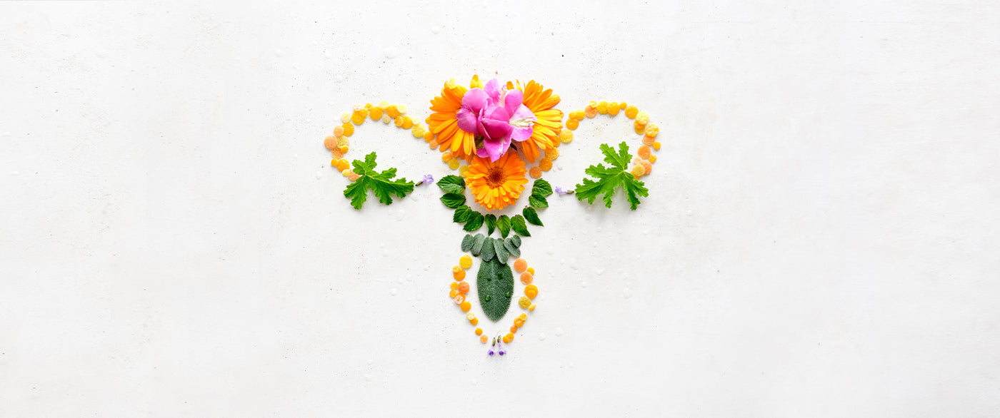 Symbolischer Uterus aus Blüten, Blättern und Harz auf hellem Hintergrund arrangiert