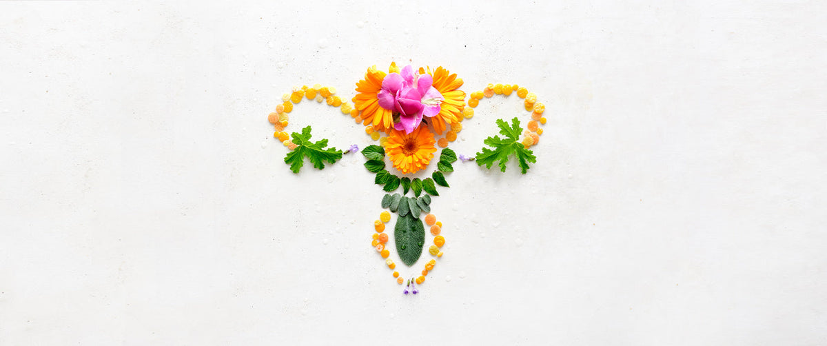 Symbolischer Uterus aus Blüten, Blättern und Harz auf hellem Hintergrund arrangiert
