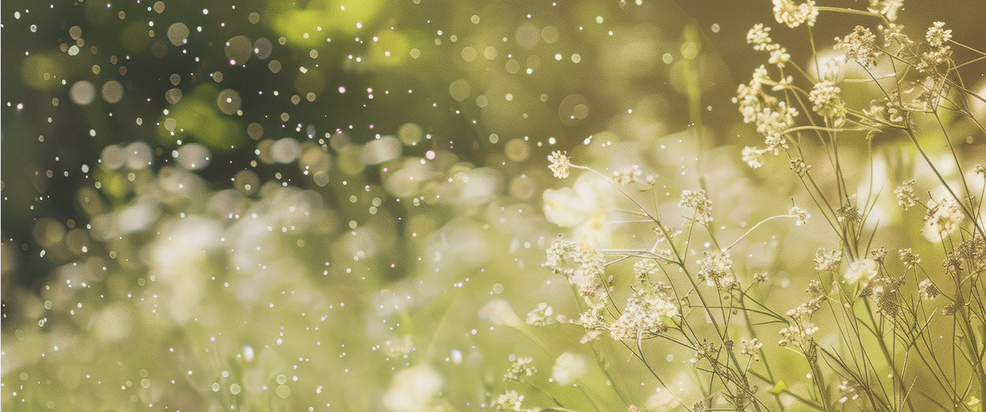 Blühende Wiesen mit fliegenden Pollen in warmer Frühlingssonne