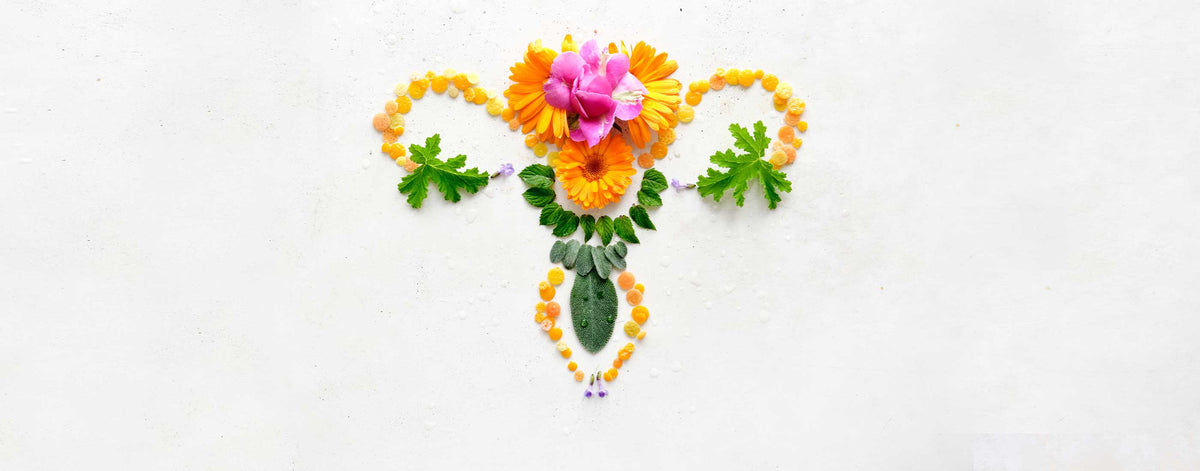 Symbolischer Uterus aus Blüten, Blättern und Harz auf hellem Hintergrund arrangiert