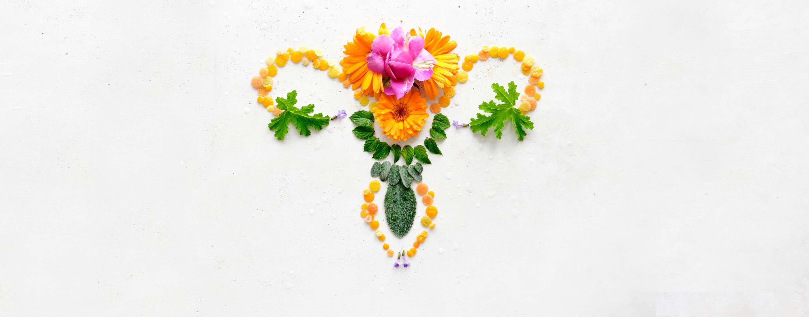 Symbolischer Uterus aus Blüten, Blättern und Harz auf hellem Hintergrund arrangiert