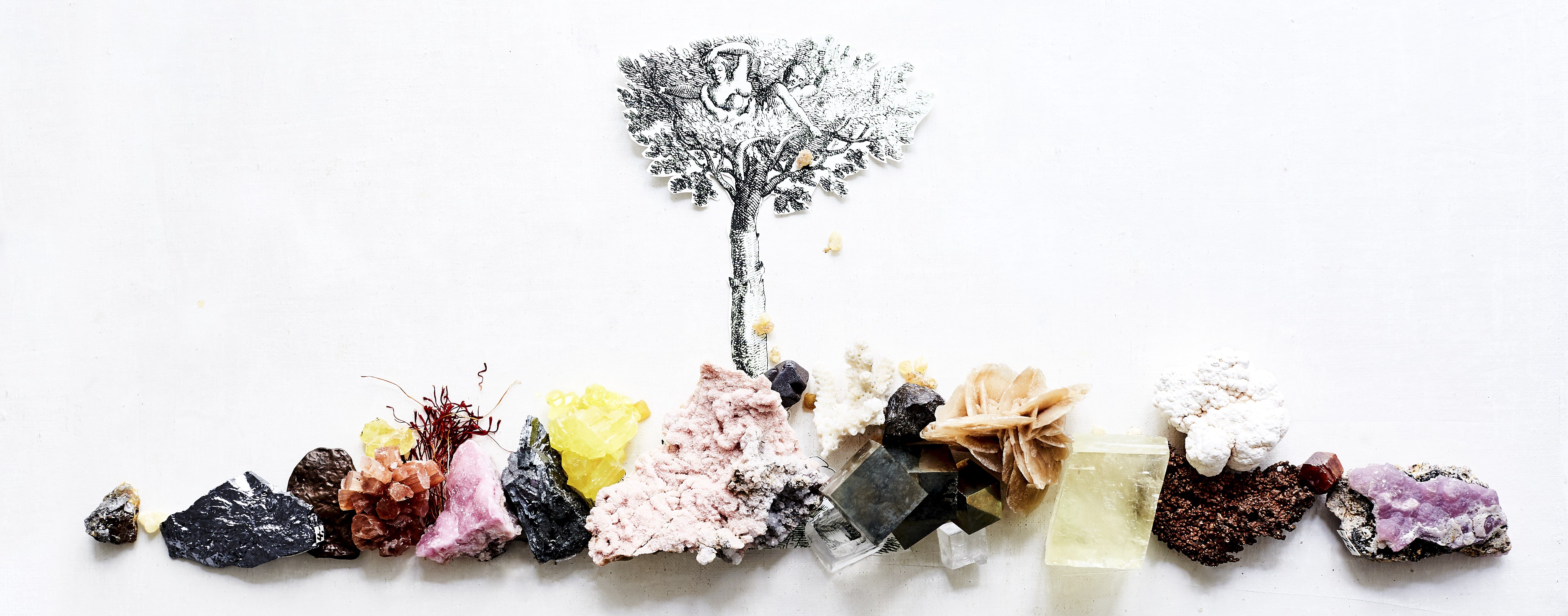 Verschiedene bunte Mineralien, Kristalle und Rohstoffe liegen nebeneinander unter einem stilisierten Baum – symbolisch für die Vielfalt an Vitalstoffen aus der Natur