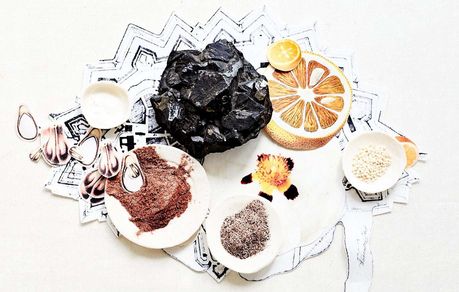 Zutaten wie Blüten, Pulver, Mineralien, Samen und Zitrusfrüchte auf Zeichnungen arrangiert – Symbol für den Schutz der Abwehrkräfte.