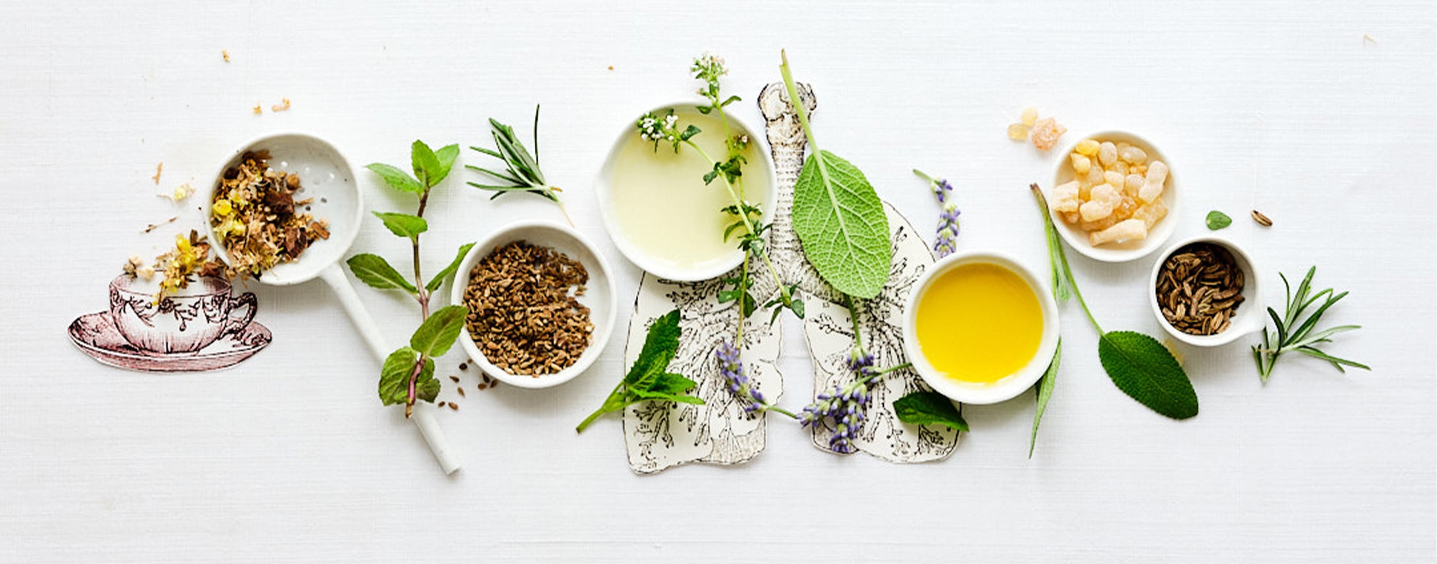 Zutaten für pflanzliche Rezepturen: kleine weiße Schalen mit Ölen und Extrakten, Lavendelzweige, Blüten und Rührspatel auf hellem Untergrund arrangiert