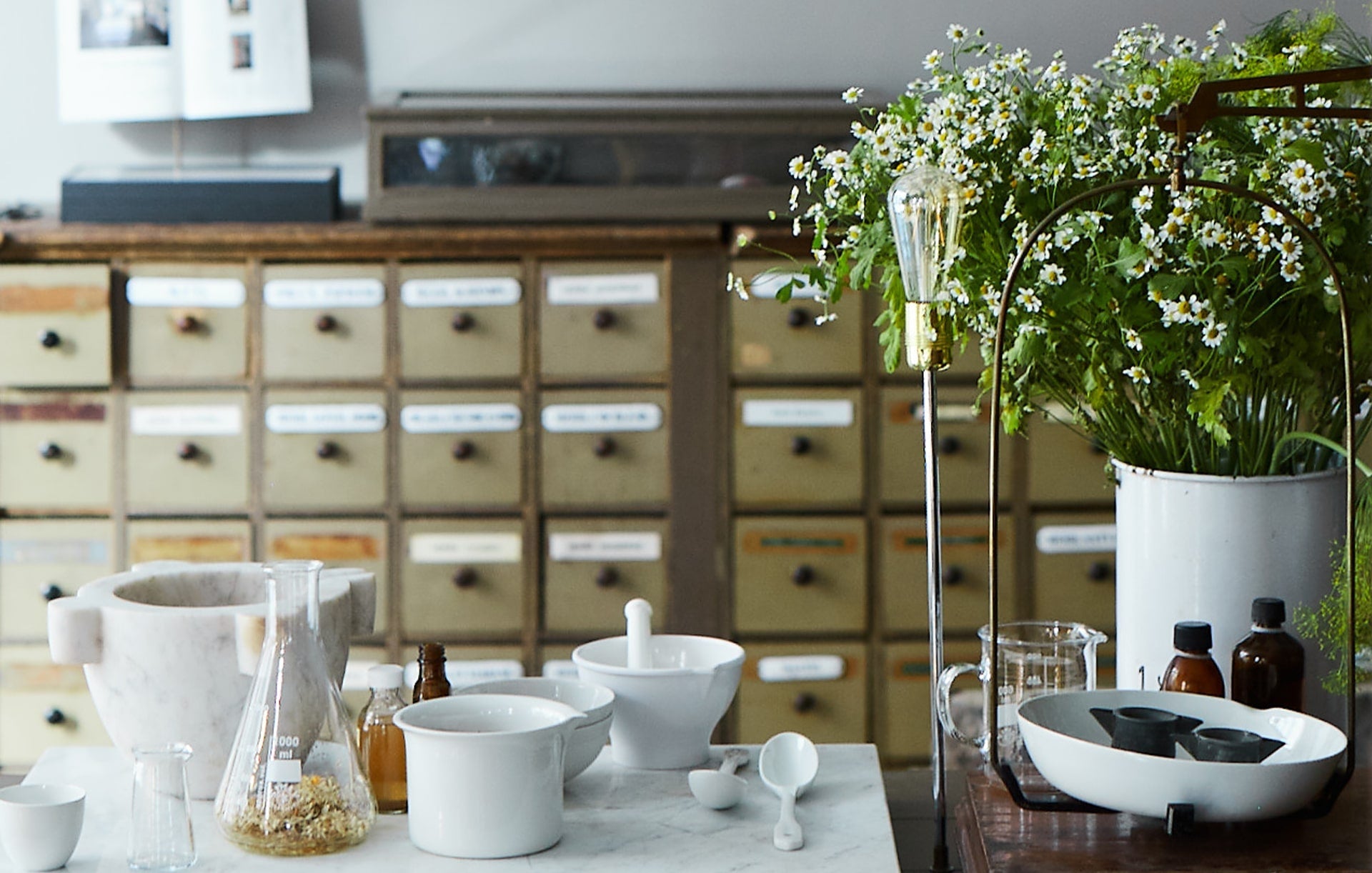 Sechs Fläschchen aus der Kategorie Öle für die Psyche mit botanischen Zeichnungen und Kräuterzutaten, arrangiert auf weißem Stoff