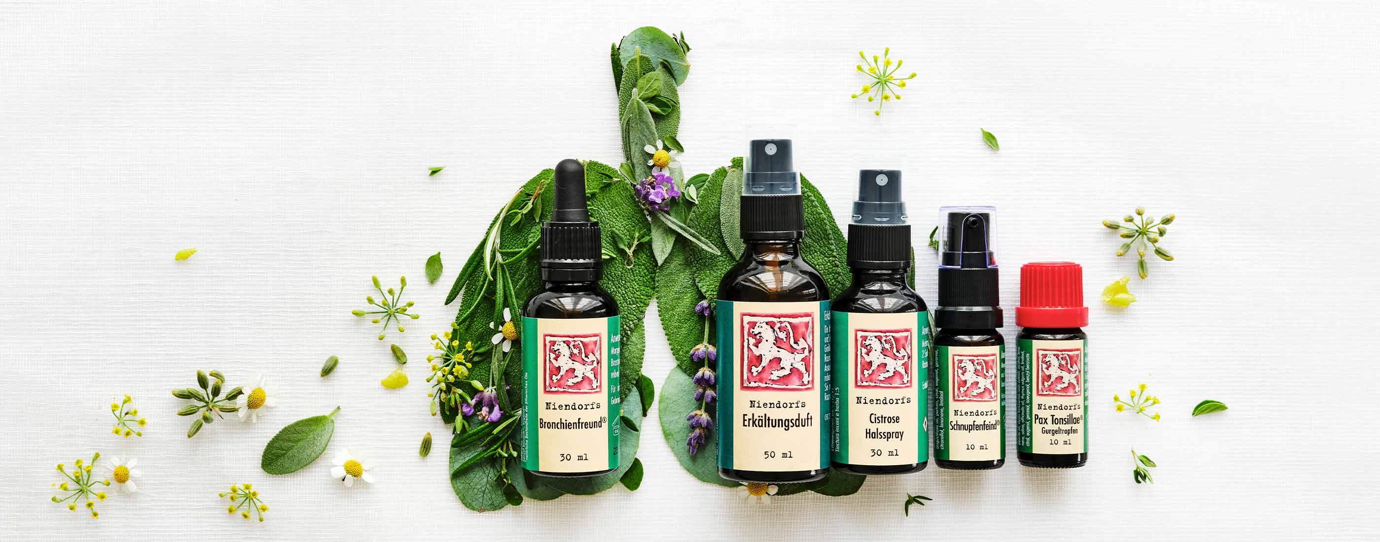 Fünf Produkte gegen Erkältung und für das Immunsystem stehen auf Kräuterbett in Lungenform, umgeben von Blüten