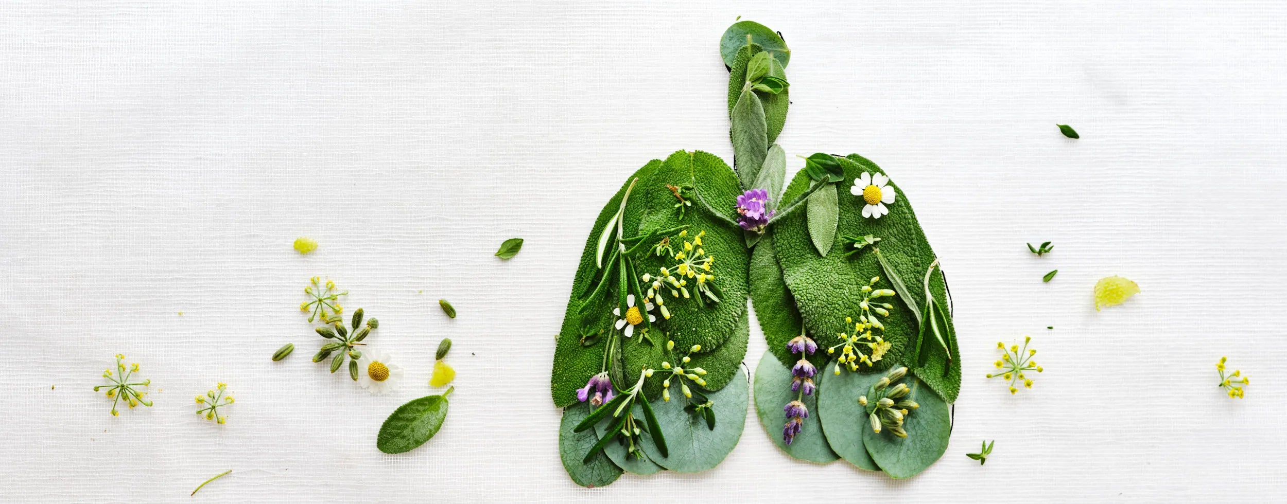Fünf Produkte gegen Erkältung und für das Immunsystem stehen auf Kräuterbett in Lungenform, umgeben von Blüten