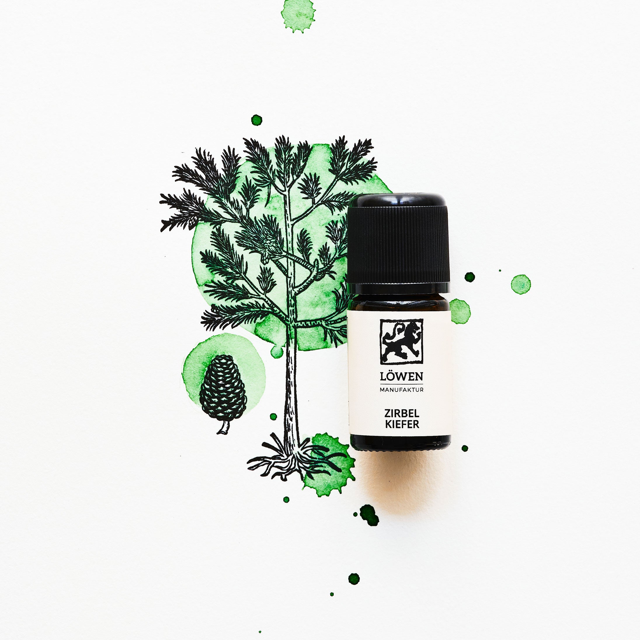 Ätherisches Zirbelkieferöl von Löwen-Manufaktur in Braunglasflasche mit schwarzem Deckel, platziert vor einer Illustration mit grünen Aquarellklecksen und gezeichneter Zirbelkiefer mit Zapfen.