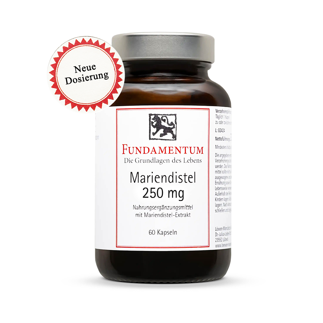 Mariendistel Kapseln